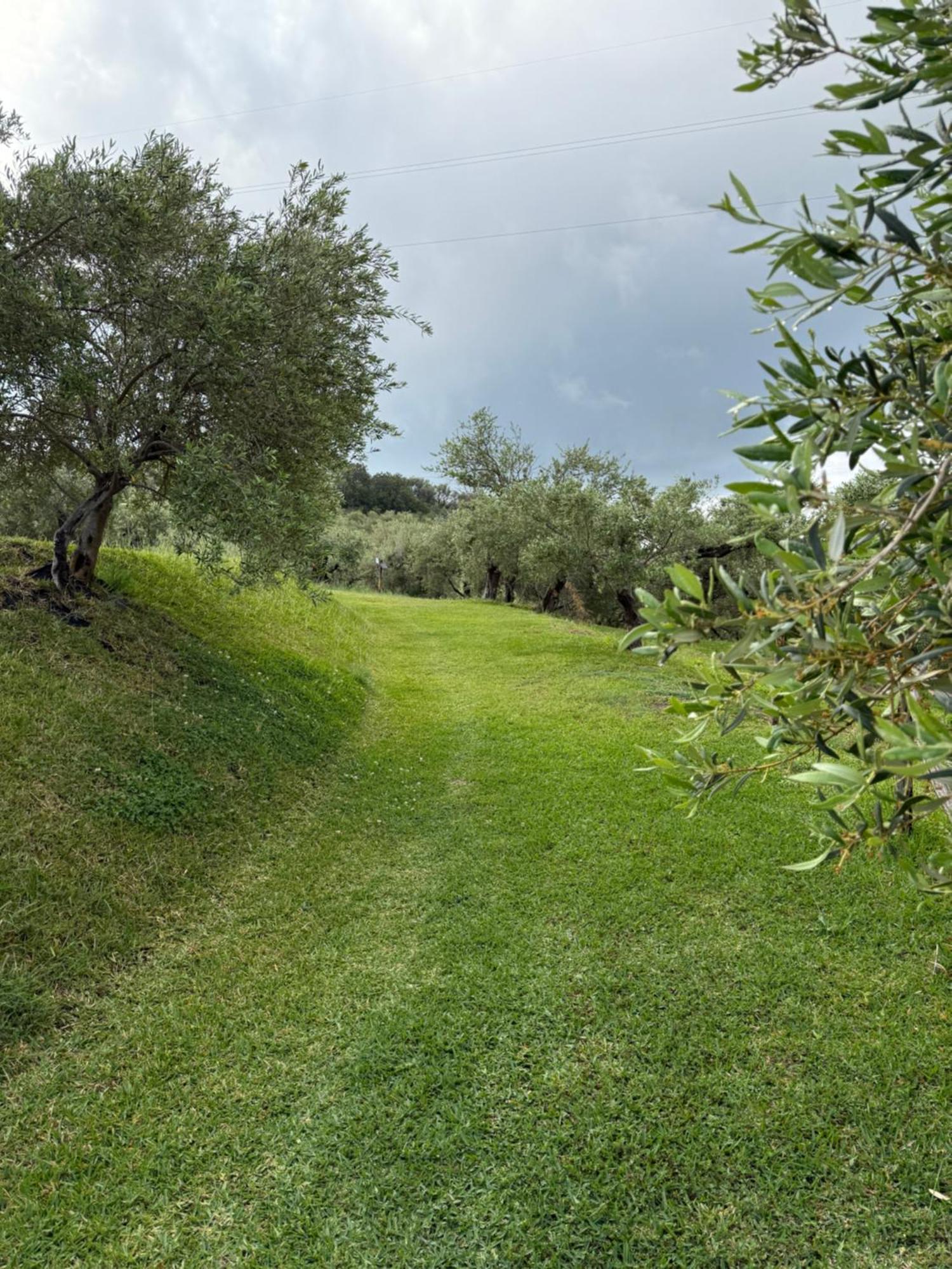 Agrolea Hotel Terme Vigliatore Bagian luar foto