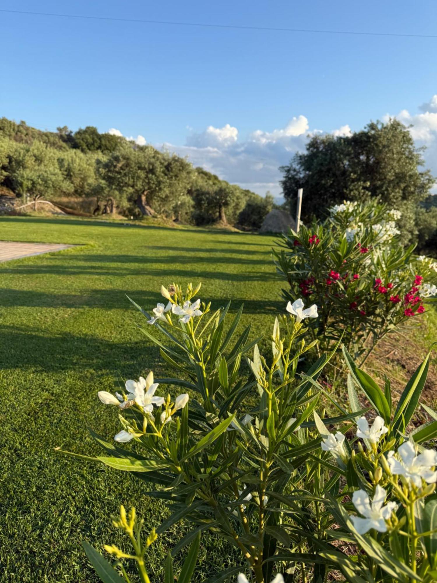 Agrolea Hotel Terme Vigliatore Bagian luar foto