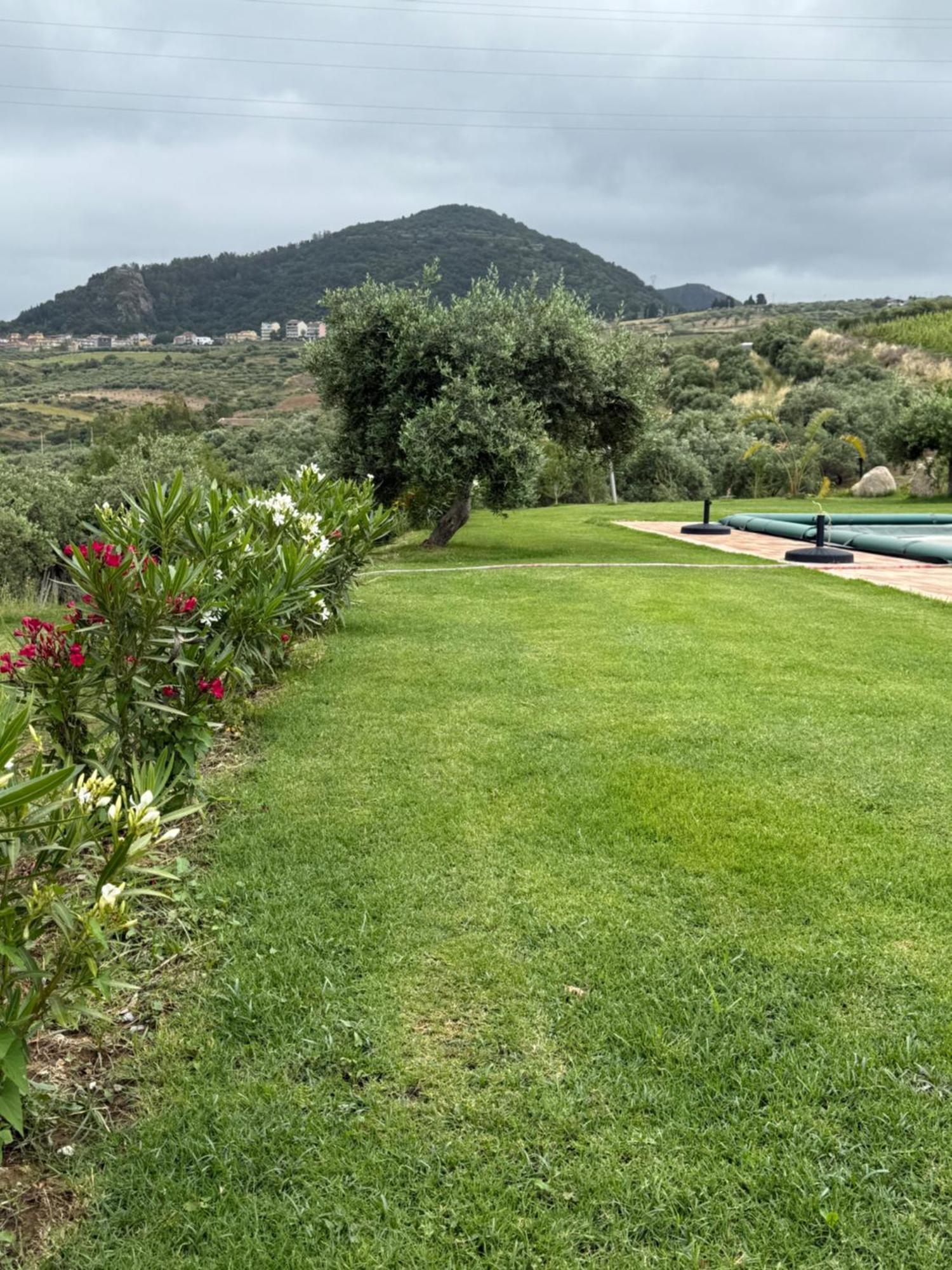 Agrolea Hotel Terme Vigliatore Bagian luar foto
