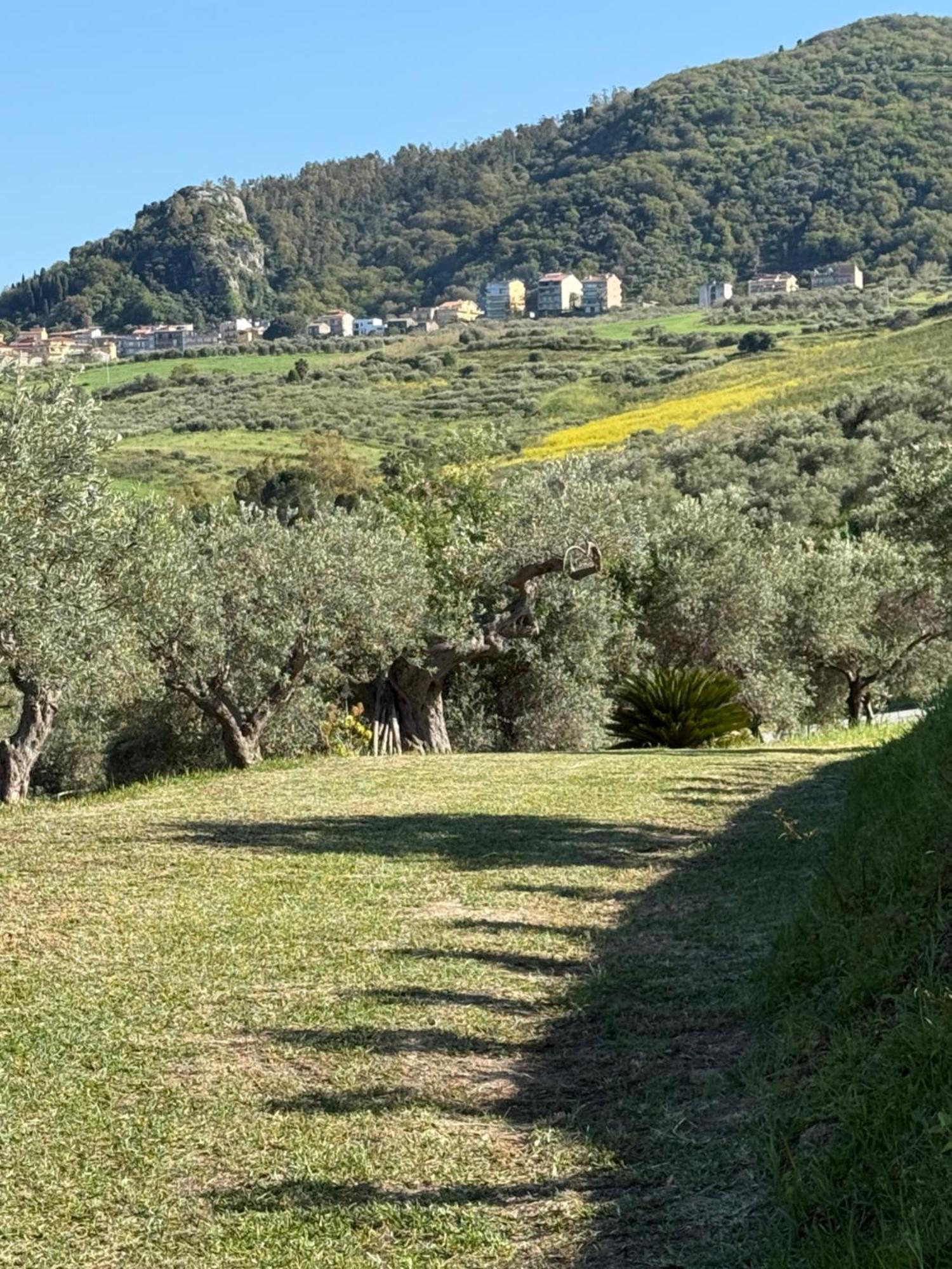 Agrolea Hotel Terme Vigliatore Bagian luar foto