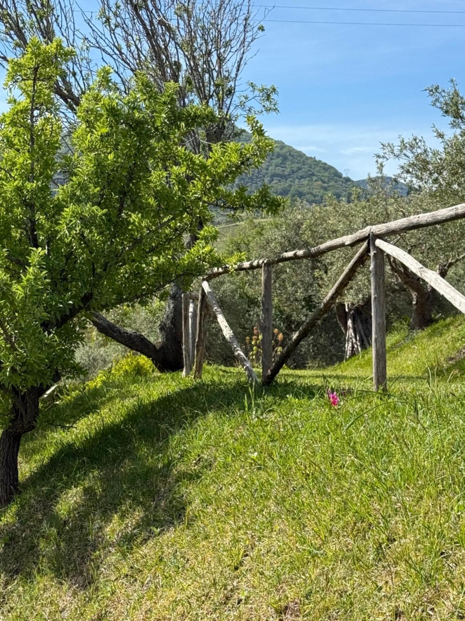 Agrolea Hotel Terme Vigliatore Bagian luar foto
